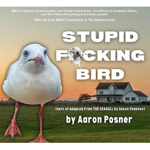 Stupid F*^%ing Bird